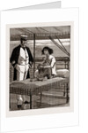 The Only Lady Patient On Board The Hospital Ship Rangoon, On The Irrawaddy, 1886 by Anonymous