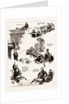The Opening Of The New Parliament, Notes In The House Of Commons, London, UK, 1886; Mr. Gladstone, Sir M. Hicks.beach, Mr. Bradlaugh by Anonymous