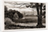 Aldford Brook, UK, 1886 by Anonymous