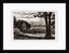 Aldford Brook, UK, 1886 by Anonymous