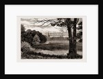 Aldford Brook, UK, 1886 by Anonymous