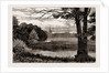 Aldford Brook, UK, 1886 by Anonymous