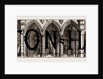The Cloister In Front Of Ante-drawing And Dining-rooms by Anonymous