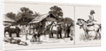 The Expedition To Upper Burma, With The Tonghoo Field Force, 1886 by Anonymous