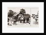 The Expedition To Upper Burma, With The Tonghoo Field Force, 1886 by Anonymous