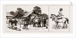 The Expedition To Upper Burma, With The Tonghoo Field Force, 1886 by Anonymous