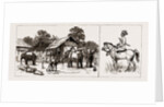 The Expedition To Upper Burma, With The Tonghoo Field Force, 1886 by Anonymous