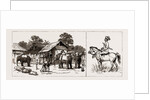 The Expedition To Upper Burma, With The Tonghoo Field Force, 1886 by Anonymous