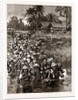 With The Tonghoo Field Force, Burma: Somersetshire Light Infantry Crossing The Twsa River, 1886 by Anonymous