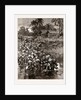 With The Tonghoo Field Force, Burma: Somersetshire Light Infantry Crossing The Twsa River, 1886 by Anonymous