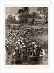 With The Tonghoo Field Force, Burma: Somersetshire Light Infantry Crossing The Twsa River, 1886 by Anonymous