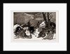 The Armistice: A Bulgarian Encampment On The Heights Above Pirot, 1886 by Anonymous