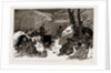 The Armistice: A Bulgarian Encampment On The Heights Above Pirot, 1886 by Anonymous