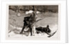 The War Between Serbia And Bulgaria, 1886 by Anonymous