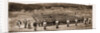 The Latest Rising In South Africa: Parade Of The Diamond Fields Horse At Pokwani, 1897 by Anonymous