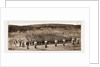 The Latest Rising In South Africa: Parade Of The Diamond Fields Horse At Pokwani, 1897 by Anonymous