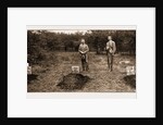 The Latest Rising In South Africa: The Graves Of The Murdered Traders At Pokwani, 1897 by Anonymous