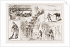 Tommy Atkins In Rhodesia: Leaves From An Officer's Sketch Book, 1897 by Anonymous