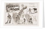 Tommy Atkins In Rhodesia: Leaves From An Officer's Sketch Book, 1897 by Anonymous