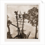 A Woman Crucified At Benin by Anonymous