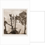 A Woman Crucified At Benin by Anonymous