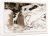 The Fatal Avalanche Near Davos, 1897 by Anonymous