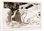 The Fatal Avalanche Near Davos, 1897 by Anonymous