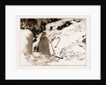 The Fatal Avalanche Near Davos, 1897 by Anonymous