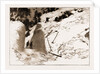The Fatal Avalanche Near Davos, 1897 by Anonymous