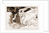 The Fatal Avalanche Near Davos, 1897 by Anonymous