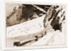 The Fatal Avalanche Near Davos, 1897 by Anonymous