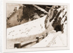 The Fatal Avalanche Near Davos, 1897 by Anonymous