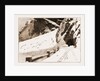 The Fatal Avalanche Near Davos, 1897 by Anonymous