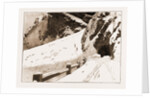 The Fatal Avalanche Near Davos, 1897 by Anonymous