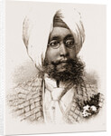 The Maharajah Of Patiala by Anonymous