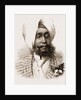 The Maharajah Of Patiala by Anonymous