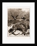 How Are The Mighty Fallen!: A Scene On The Banks Of The Limpopo River, South Africa, 1897 by Anonymous