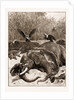 How Are The Mighty Fallen!: A Scene On The Banks Of The Limpopo River, South Africa, 1897 by Anonymous