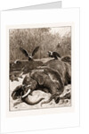 How Are The Mighty Fallen!: A Scene On The Banks Of The Limpopo River, South Africa, 1897 by Anonymous
