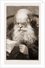 The Late Rev. E. C. Brewer, Ll.d. by G. B. Esam