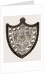 These Indicate That The Honourable Artillery Have Won The Shield Twice And The Queen's Westminsters Once by Anonymous