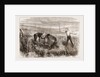 A Trooper's Horse In Foxton Mire, Autumn Manoeuvers 1873 by Anonymous