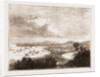 Drontheim, Norway Engraving 1873 by Anonymous