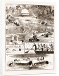 The London Swimming Club Contest At The Crystal Palace by Anonymous