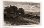 Near Evershed's Rough—scene Of The Fatal Accident To The Lord Bishop Of Winchester, 1873 by Anonymous