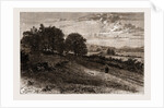 Near Evershed's Rough—scene Of The Fatal Accident To The Lord Bishop Of Winchester, 1873 by Anonymous