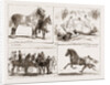 Tiie Horse Show At The Alexandra Park London UK 1873 by Anonymous