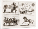 Tiie Horse Show At The Alexandra Park London UK 1873 by Anonymous