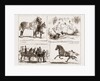 Tiie Horse Show At The Alexandra Park London UK 1873 by Anonymous