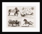 Tiie Horse Show At The Alexandra Park London UK 1873 by Anonymous